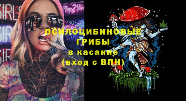 ПСИЛОЦИБИНОВЫЕ ГРИБЫ Алзамай