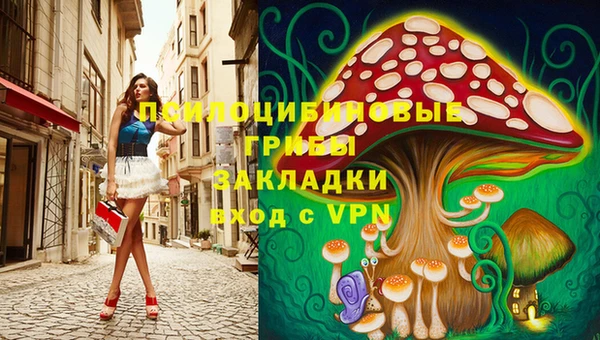 эйфоретик Алексин