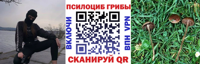 Галлюциногенные грибы мухоморы  продажа наркотиков  Геленджик 